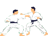 kata_taekwondo