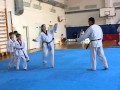 Attestation color belts Taekwondo WTF